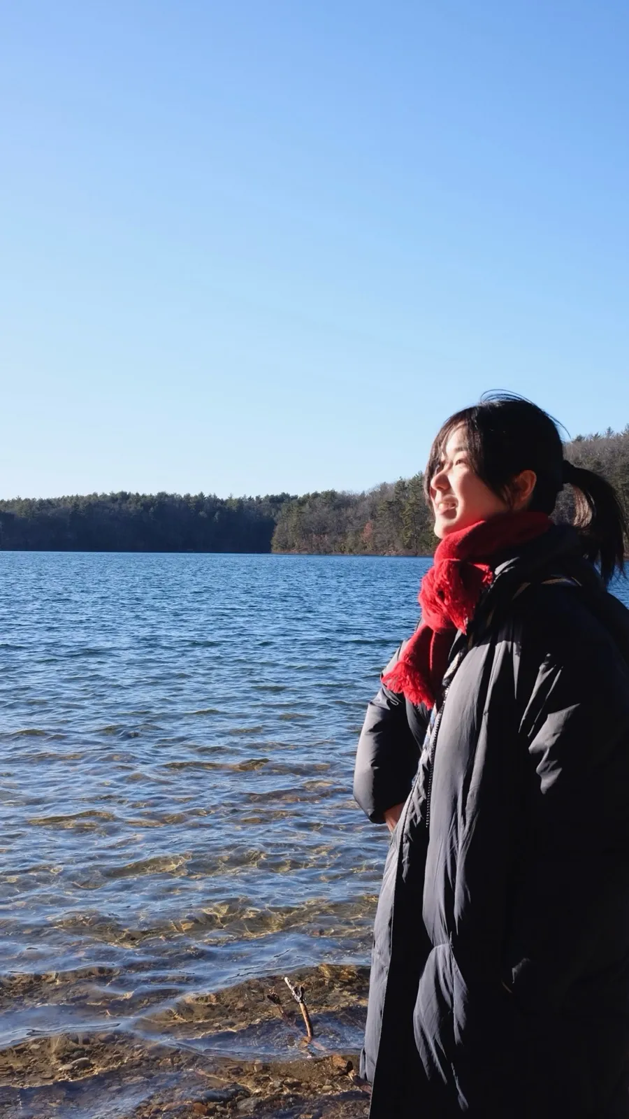 @walden pond in winter